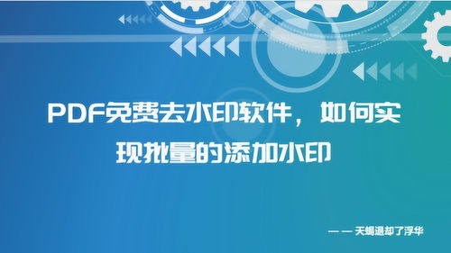 PDF水印免費去除軟件、批量添加水印方法及化妝品行業PDF水印制作教程